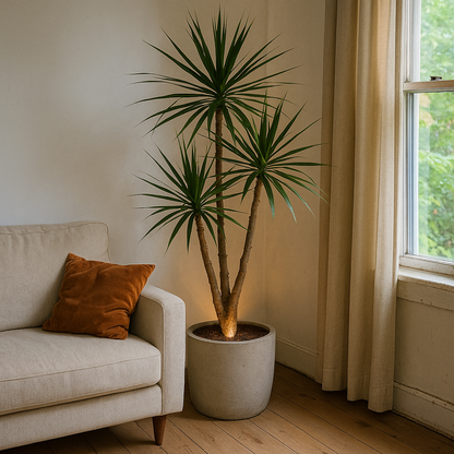 Ambientify Flora | Creëer direct rust en sfeer met natuurlijke verlichting