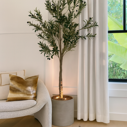 Ambientify Flora | Creëer direct rust en sfeer met natuurlijke verlichting