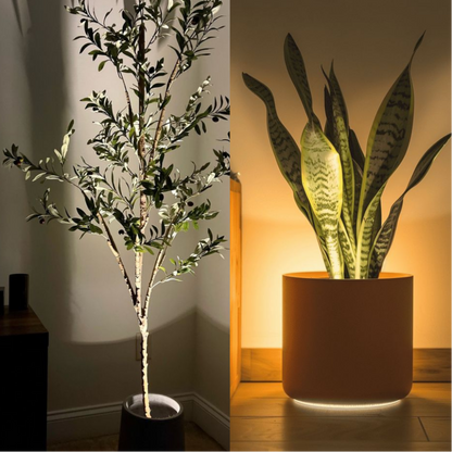 Ambientify Flora | Creëer direct rust en sfeer met natuurlijke verlichting